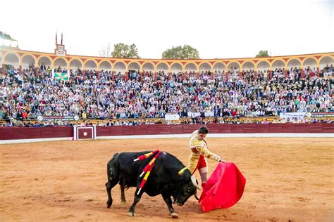 Visit Running of the Bulls (Fiesta de San Fermín) | Classic whisky ...