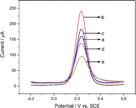 Dpv Test During Electrode Modification Download Scientific Diagram