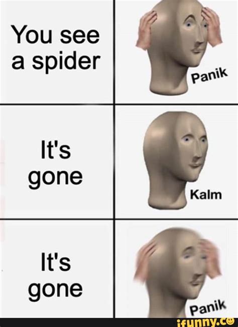 You See A Spider O It S Gone It S Gone IFunny