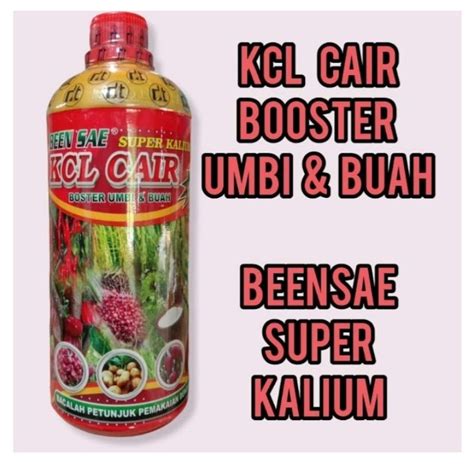 Jual Pupuk Cair Beensae Super Kalium Kcl Cair Booster Umbi Dan Buah