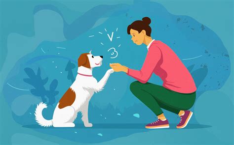 Positive Reinforcement The Key To Effective Dog Training My Wordpress