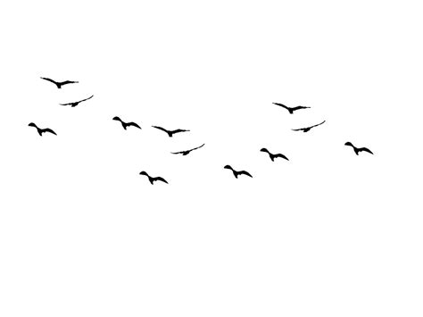 Birds Silhouette at GetDrawings | Free download