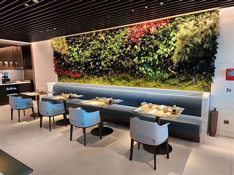 Sin Qatar Airways Lounge Singapore Reviews Loungeindex Images Photos