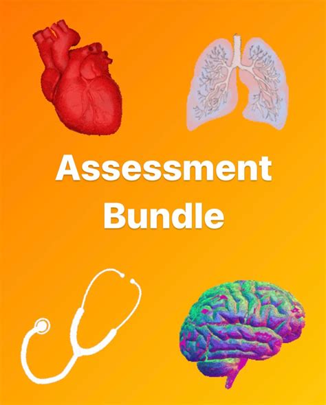 Assessment Cheat Sheet Etsy