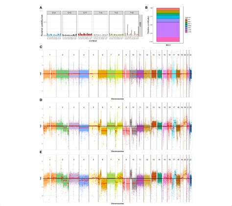 Genomic Analysis Of The Blood And Tumor Samples A 96 Mutational