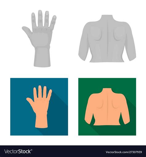 Design Body And Part Symbol Set Royalty Free Vector Image