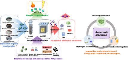 深入了解工业有机废水碳中和处理的当前生物过程和未来前景批判性评论 Environmental Research X MOL
