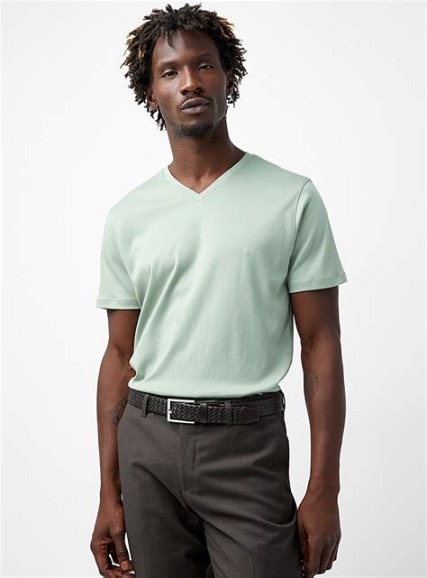 Luxurious Pima Cotton V Neck T Shirt Robert Barakett Simons