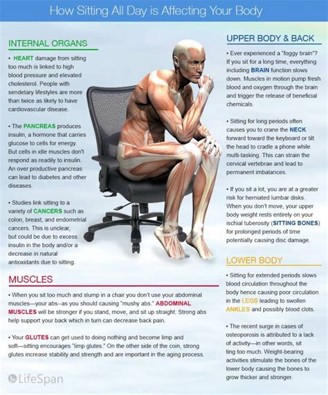 Effects Of A Sedentary Lifestyle Infographic Aegis Risk Management