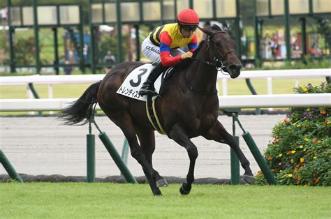 Netkeiba On Twitter 【中京5r・2歳新馬芝1200】 トレンディスター 川田将雅 父ファインニードル 母ハンド