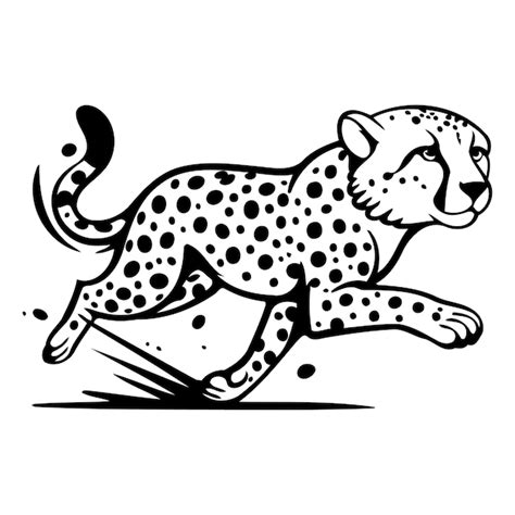 Premium Vector | Cheetah running vector illustration isolated on white background cartoon ...