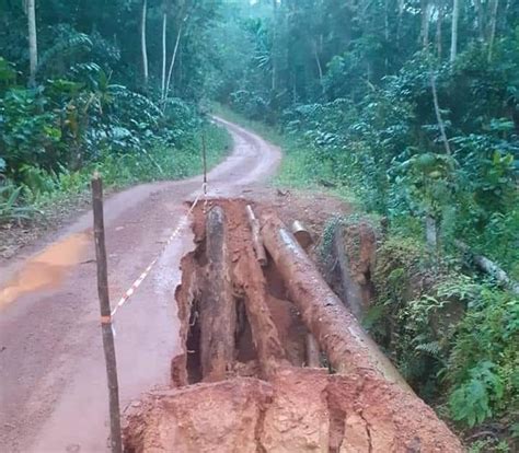 THE NATIONAL ROAD IN THE PROVINCE OF WOLEU NTEM IN 4 YEARS GABON WILL