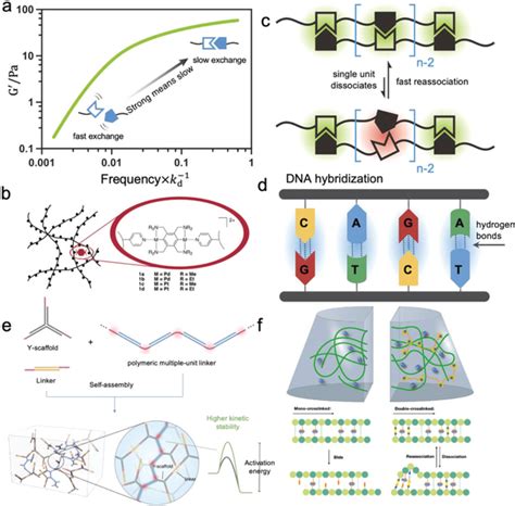 A Schematic Curve Of Storage Modulus For Supramolecular Networks