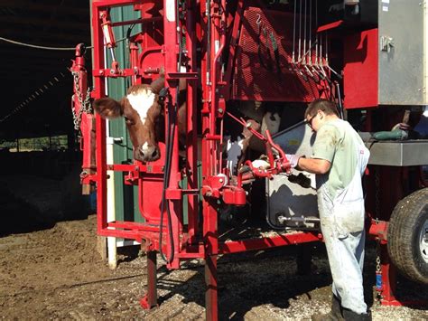 Hoof Trimmer Machine