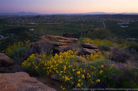 Sabino Canyon Recreation Area | Photos by Ron Niebrugge