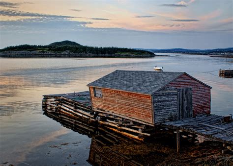 focus  newfoundland
