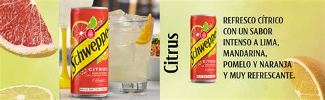 Schweppes Citrus Bebida Refrescante Lata 33cl Amazon Es