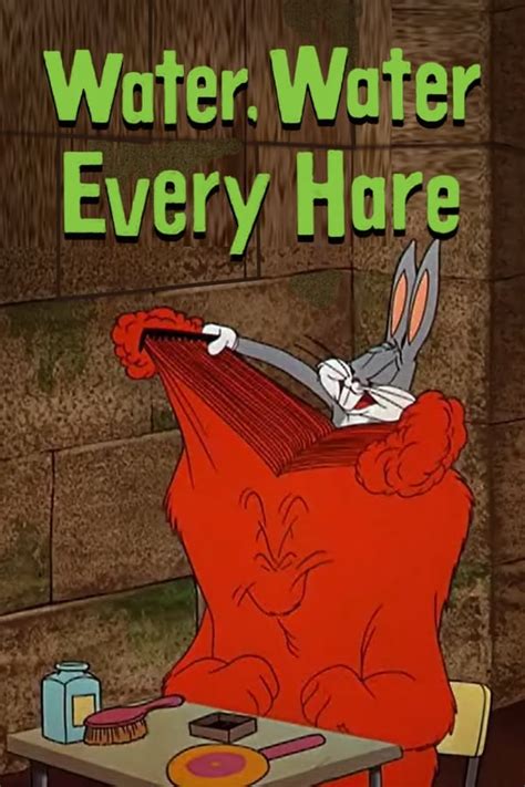 Looney Tunes Water Water Every Hare
