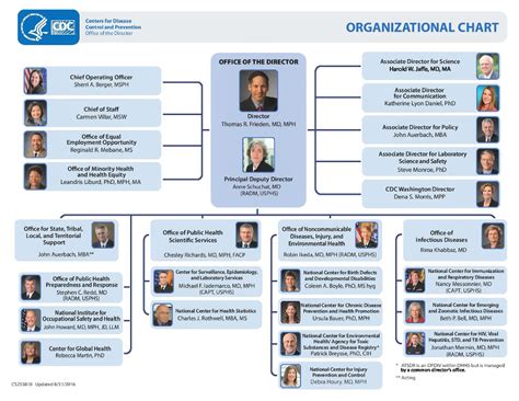 Cdc Organizational Chart: A Visual Reference of Charts | Chart Master