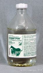 Хондартрон для собак и кошек: инструкция по применению, описание ...