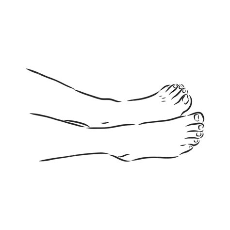 Vector Sketch Of A Barefooted Womans Feet In A Line Drawing