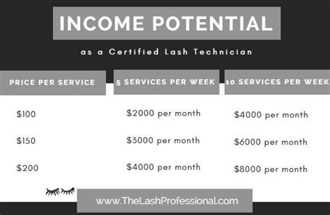 How To Become A Certified Lash Technician The Lash Professional