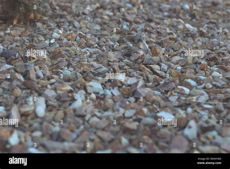 bed  rocks stock photo alamy