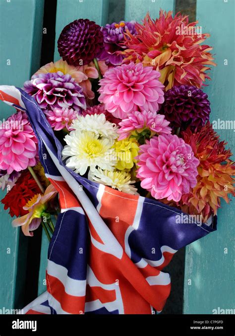 A Bunch Of Dahlia Flowers In A Union Jack Flag Stock Photo Alamy