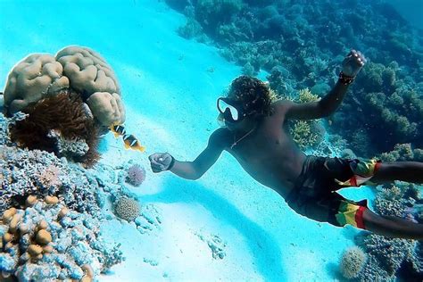 2024 Descubra Hamata Y Las Islas Qulaan Snorkeling Sea Trip Con