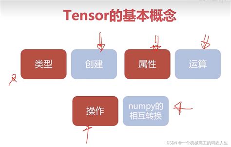 Pytorch Csdn