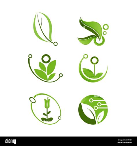 Vector Set Of Eco Logos Leaves Organic Nature Logos Bio Energy