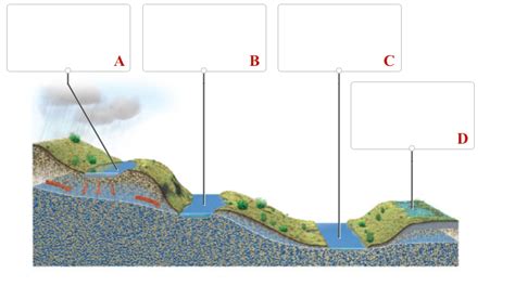 Solved This Figure Shows The Interaction Of Groundwater With Chegg