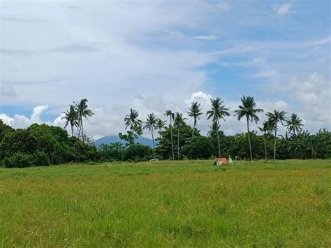 Residential Farm Lot For Sale Santa Cruz Laguna Properties