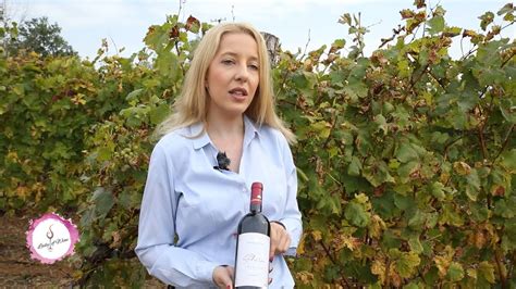 Lady Of Wine Shiraz Premium Vinarija Chateau Prince YouTube