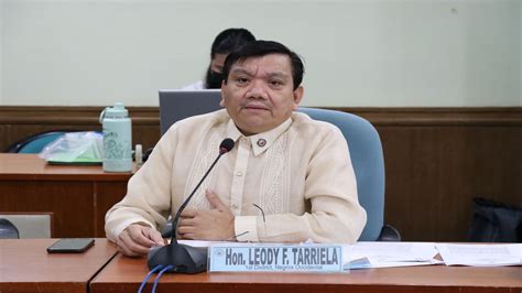 Solon Calls Out NGCP ERC Over Mindoros Power Woes Politico Ph