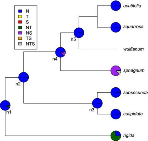 Range Change Evolution Of Peat Mosses Sphagnum Within And Between