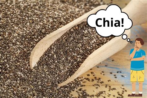 Sementes de linhaça x sementes de chia qual é mais saudável