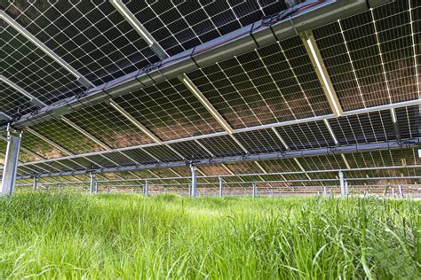 Soltec Suministra 200 Mw De Su Seguidor Solar Sf7 A Grupotec