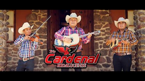 El Dorado Cardenal Hidalguense Video Oficial YouTube