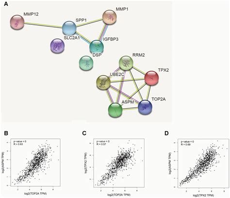 Identification Of Differentially Expressed Genes In Non Small Cell Lung