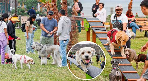 Magdalena Del Mar Inauguran El Primer Parque Canino Del Per Con