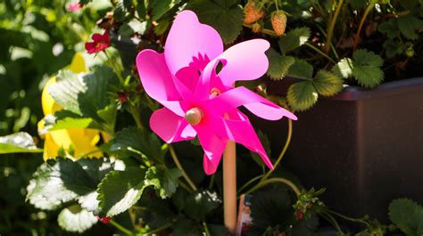 Keep Birds Away From Your Garden With A Diy Wind Spinner