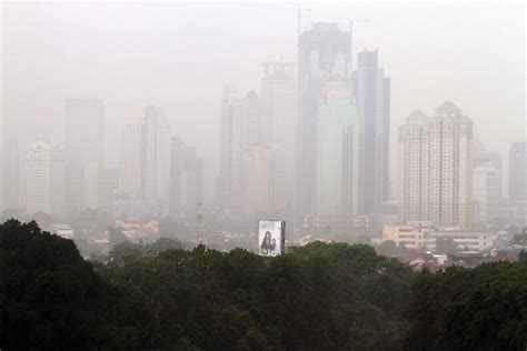 Palembang Diselimuti Kabut BMKG Beri Penjelasan