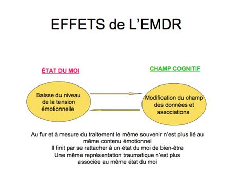 La Psychoth Rapie Emdr Expliqu E Par Lanatomie Psychique Emdr Revue