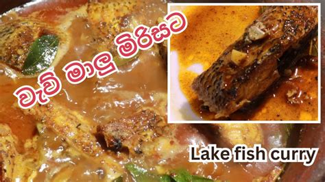 Spicy Lake Fish Curry වැව් මාළු කටට සැරට වැව් මාළු හොද්ද Youtube