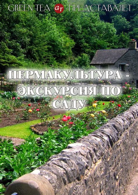 фильм Пермакультура- экскурсия по саду онлайн