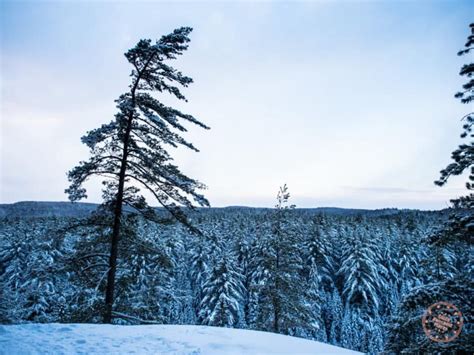 How To Plan A Muskoka Winter Weekend Getaway - Going Awesome Places