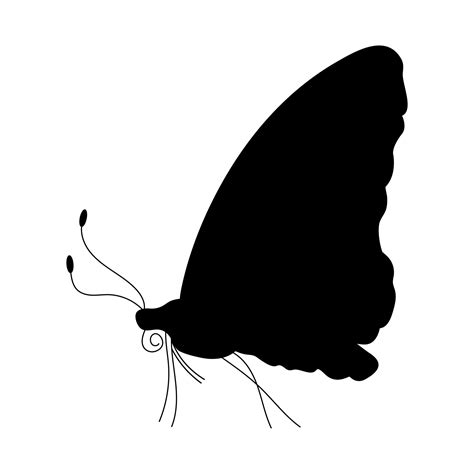 Butterfly Black Silhouette Butterfly Icon Isolated On White Background