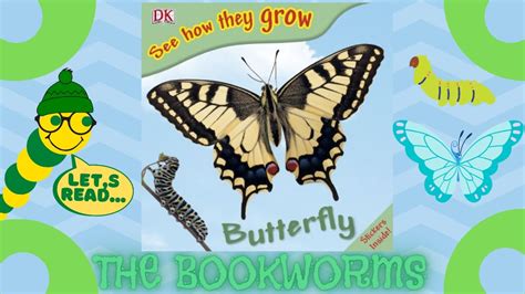 See How They Grow Butterfly Youtube