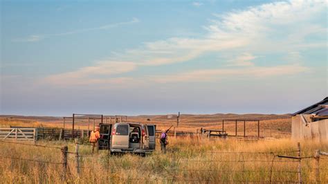 Nebraska Hunting Seasons: A Complete Guide for All Hunters